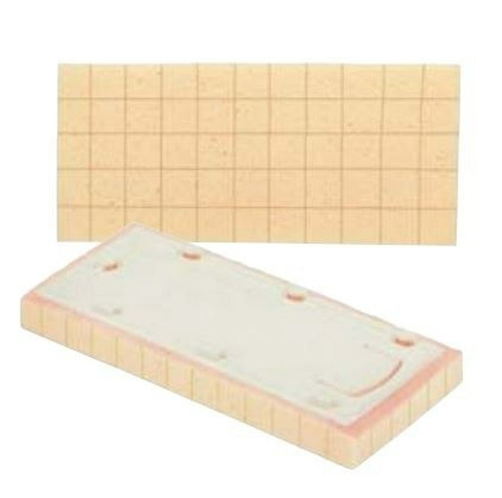 RAIMONDI REPLACEMENT SPONGES